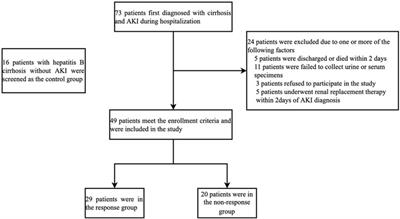 Urinary Neutrophil Gelatinase-Associated Lipocalin Can Predict the Efficacy of Volume Expansion Therapy in Patients With Hepatitis B Cirrhosis and AKI